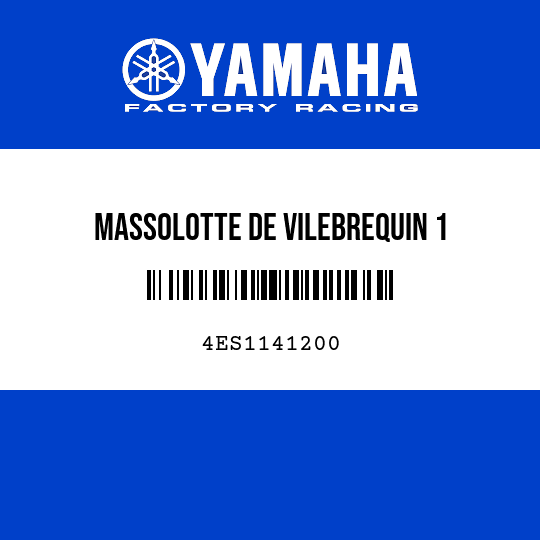 MASSOLOTTE DE VILEBREQUIN 1