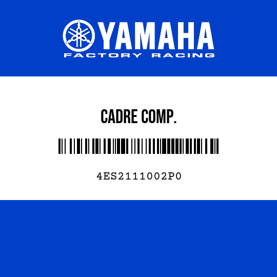 CADRE COMP.