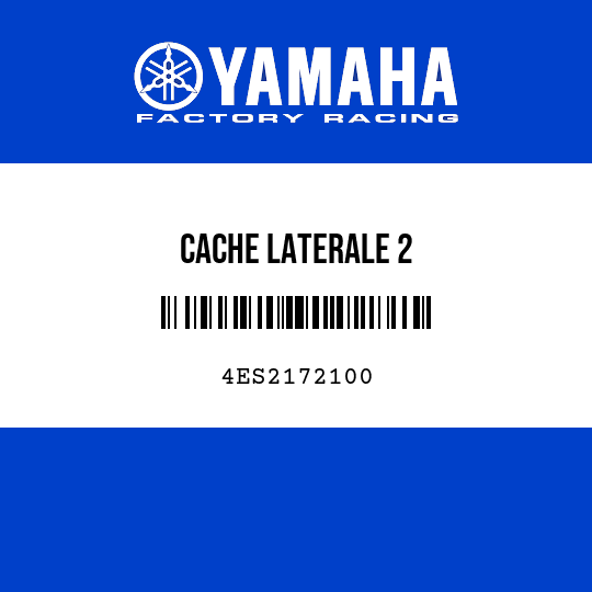 CACHE LATERALE 2