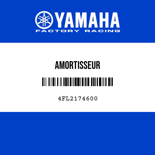 AMORTISSEUR