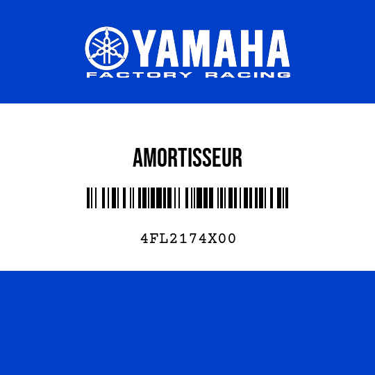AMORTISSEUR