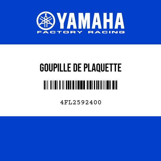 GOUPILLE DE PLAQUETTE