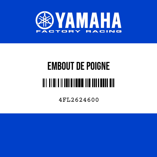 EMBOUT DE POIGNE