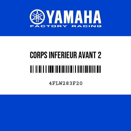 CORPS INFERIEUR AVANT 2