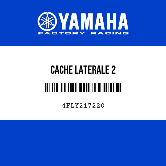 CACHE LATERALE 2