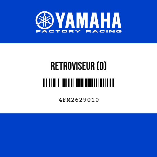 RETROVISEUR (D)