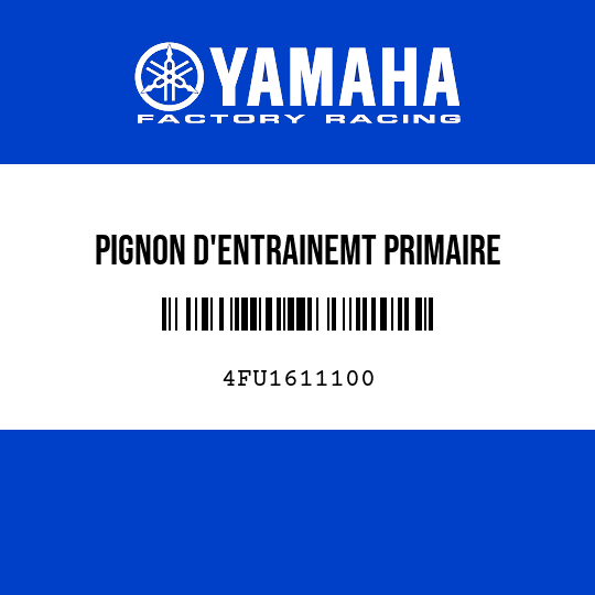 PIGNON D'ENTRAINEMT PRIMAIRE