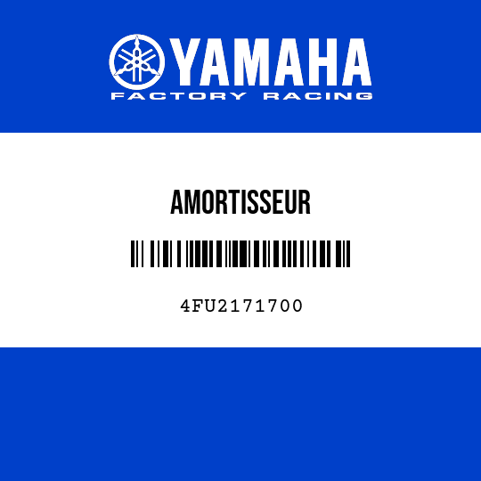 AMORTISSEUR