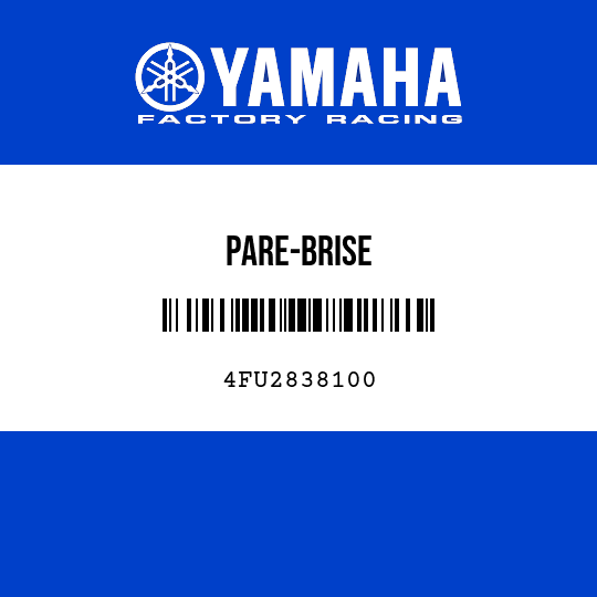 PARE-BRISE