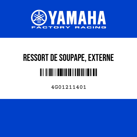 RESSORT DE SOUPAPE, EXTERNE