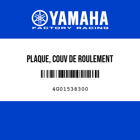 PLAQUE, COUV DE ROULEMENT