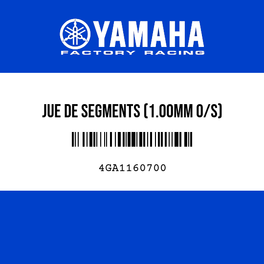 JUE DE SEGMENTS (1.00MM O/S)