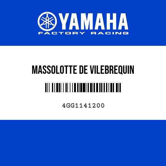 MASSOLOTTE DE VILEBREQUIN