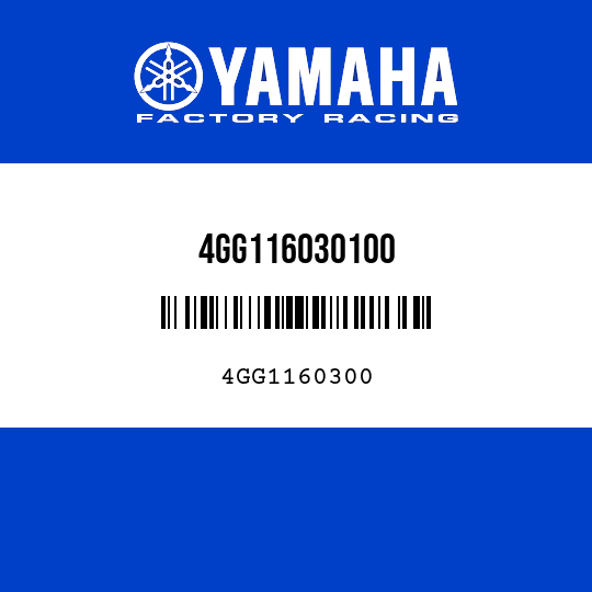 4GG116030100