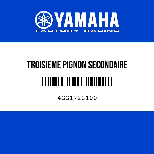 TROISIEME PIGNON SECONDAIRE