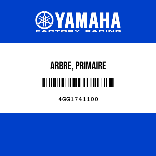 ARBRE, PRIMAIRE
