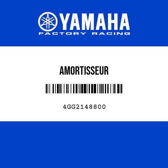 AMORTISSEUR