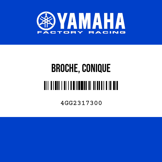 BROCHE, CONIQUE