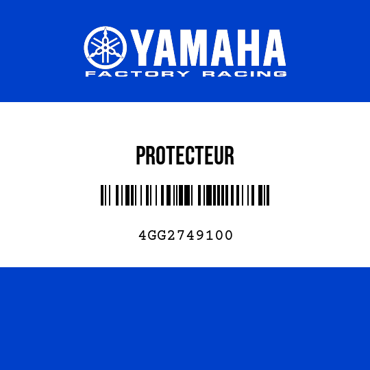 PROTECTEUR