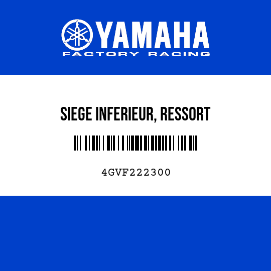 SIEGE INFERIEUR, RESSORT