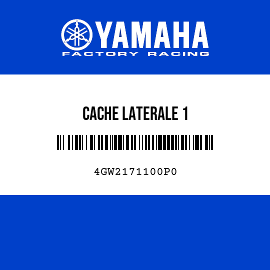 CACHE LATERALE 1