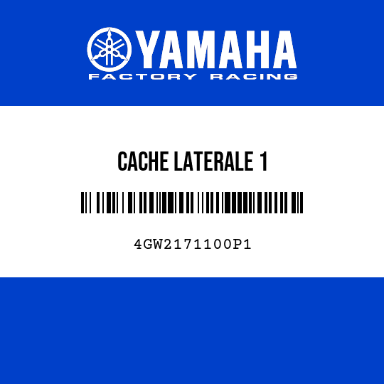 CACHE LATERALE 1