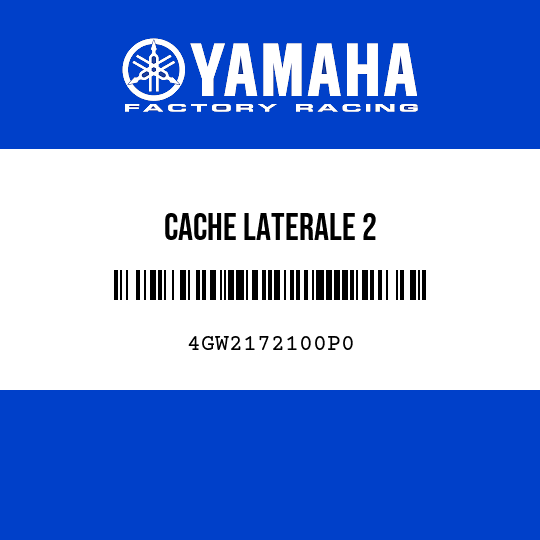CACHE LATERALE 2