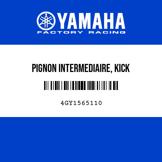 PIGNON INTERMEDIAIRE, KICK