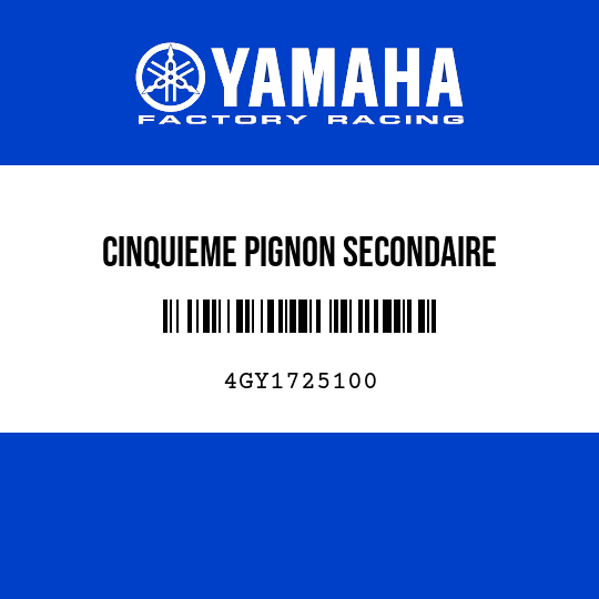 CINQUIEME PIGNON SECONDAIRE