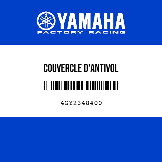COUVERCLE D'ANTIVOL