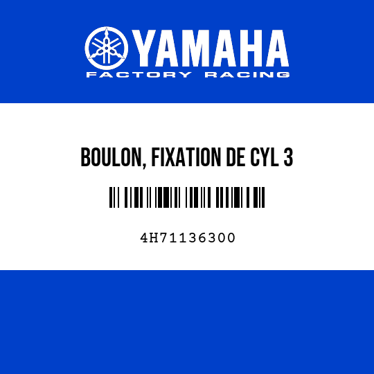 BOULON, FIXATION DE CYL 3