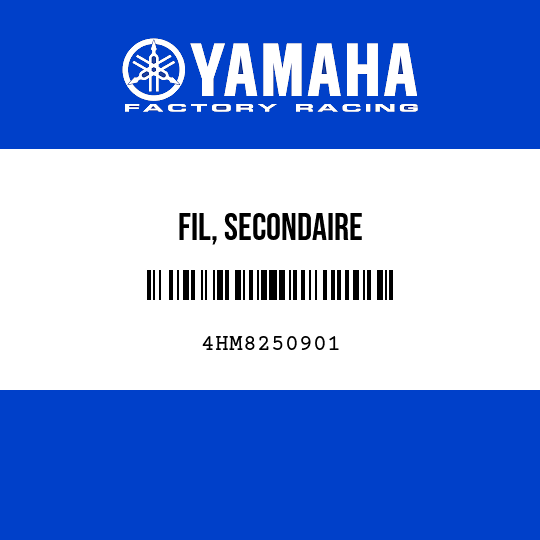 FIL, SECONDAIRE