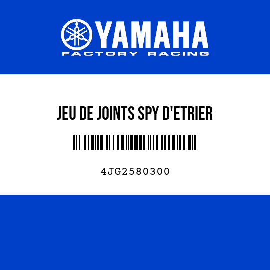 JEU DE JOINTS SPY D'ETRIER