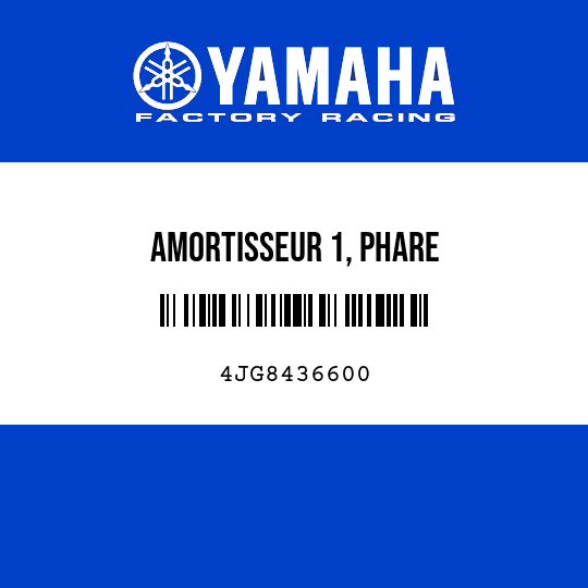 AMORTISSEUR 1, PHARE