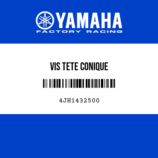 VIS TETE CONIQUE