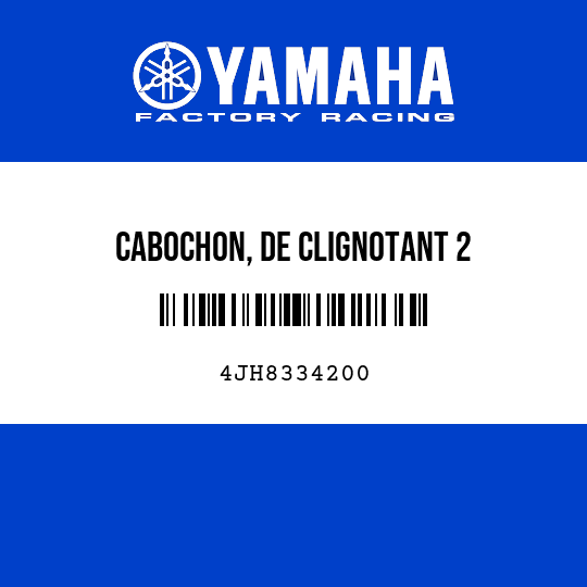 CABOCHON, DE CLIGNOTANT 2