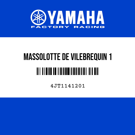 MASSOLOTTE DE VILEBREQUIN 1