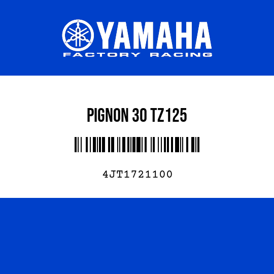 PIGNON 30 TZ125