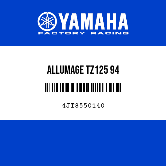 ALLUMAGE TZ125 94