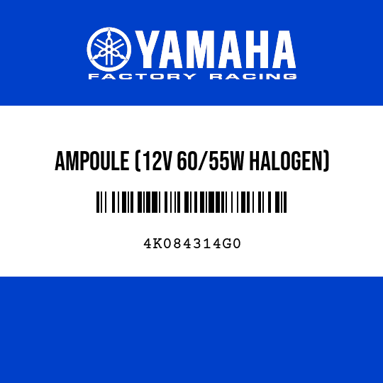 AMPOULE (12V 60/55W HALOGEN)