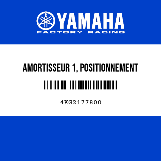 AMORTISSEUR 1, POSITIONNEMENT