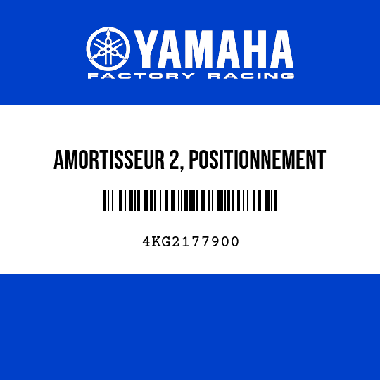 AMORTISSEUR 2, POSITIONNEMENT