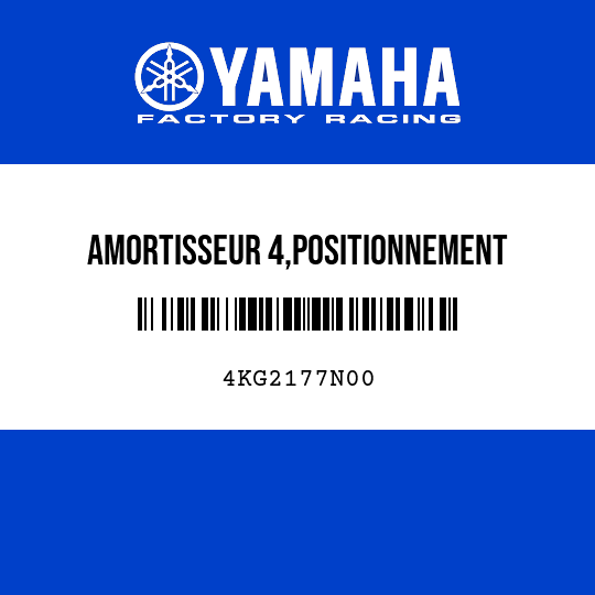 AMORTISSEUR 4,POSITIONNEMENT