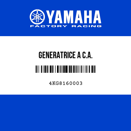 GENERATRICE A C.A.