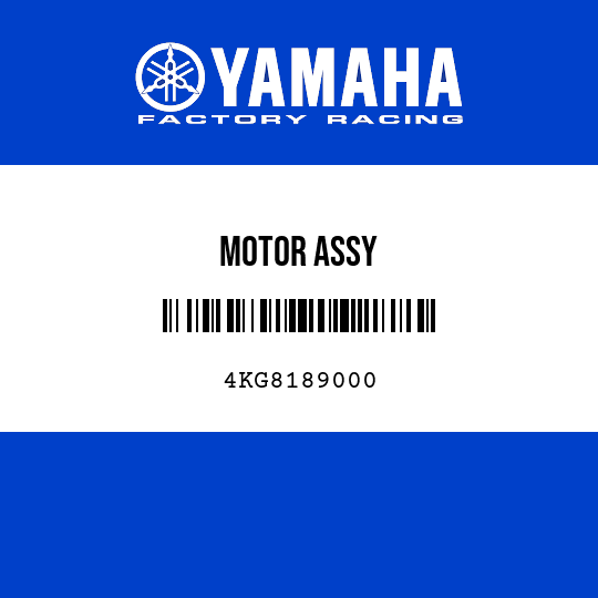 MOTOR ASSY
