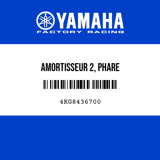 AMORTISSEUR 2, PHARE