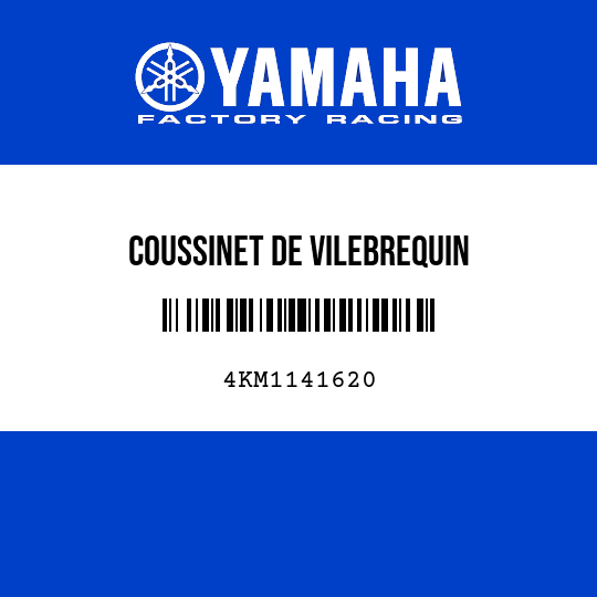 COUSSINET DE VILEBREQUIN
