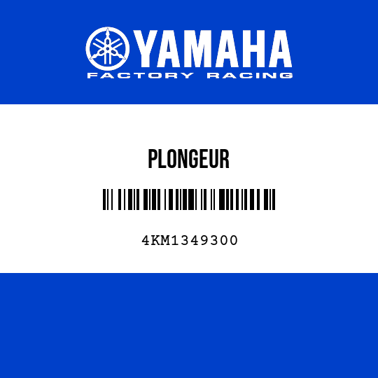 PLONGEUR