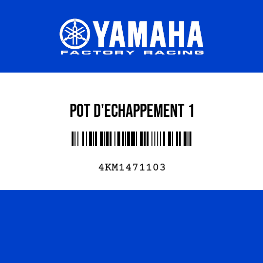 POT D'ECHAPPEMENT 1