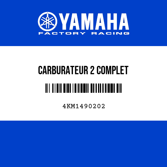 CARBURATEUR 2 COMPLET